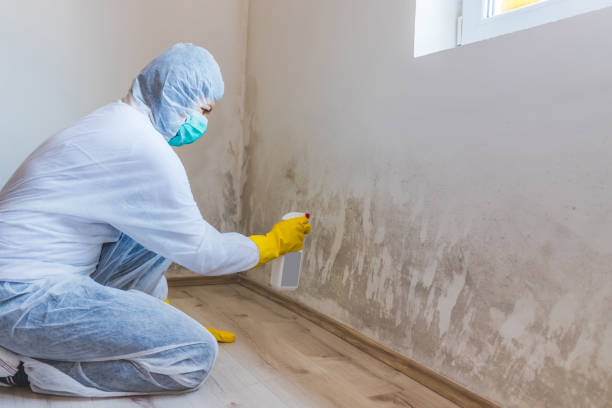 Mold Remediation specialist working in Davidsonville